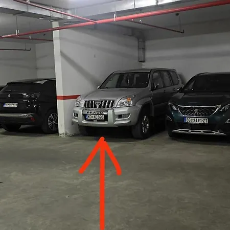 Wolf 贝尔格莱德